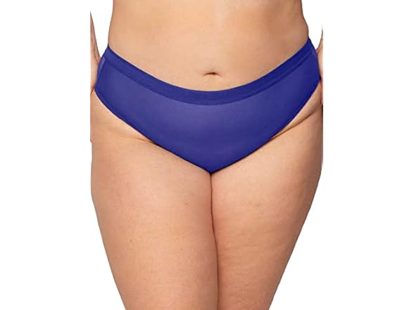Curvy (3X) Blue Mesh Brief