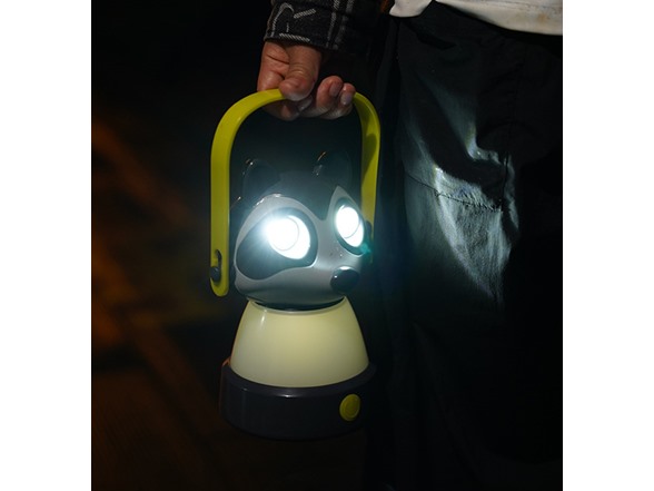 Technical Pro Raccoon Lantern for Kids