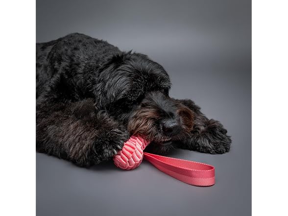 NOAH & PAW Luxury Dog Toy, Dog Rope Toy- Sling, Pink