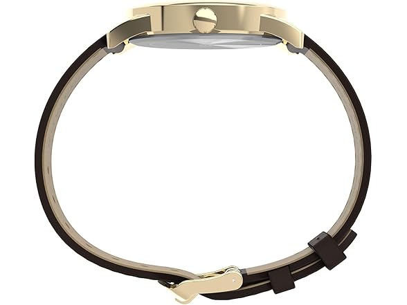 Timex Mens Easy Reader Watch Brown White