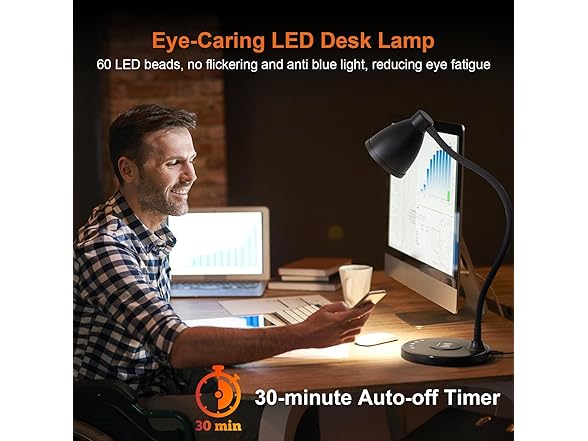 BOHON LED Desk Lamp