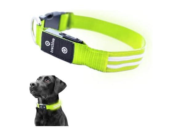 Tractive LED Light Up Dog Collar USB Rechargeable