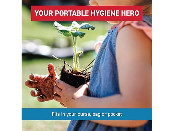 Diamond Wipes WipeEssentialsHand Wipes 90ct