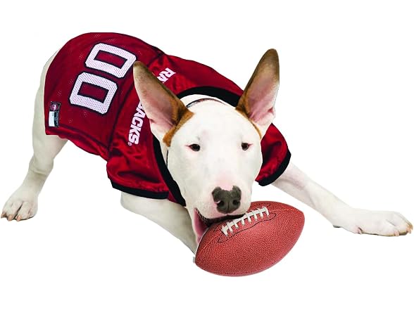 Pets First NCAA College Arkansas Razorbacks