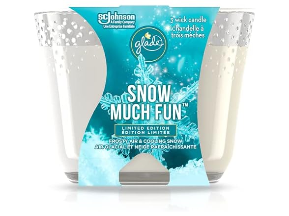 Snow Much Fun 3-Wick Candle