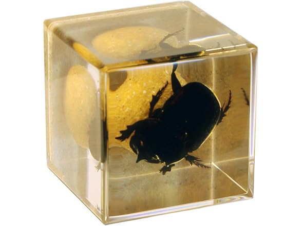 REALBUG Real Dung Beetle Cube