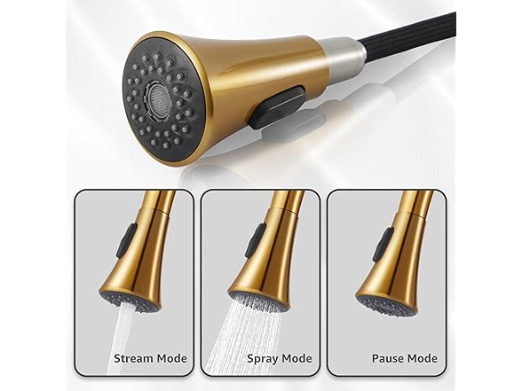 Rainovo Kitchen Faucet with Pull Down Sp
