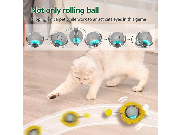 Electric Cat Toy
