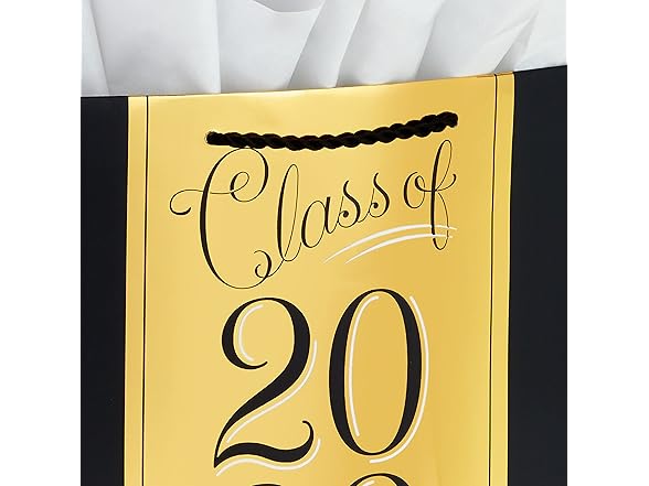 Hallmark 13" Large Graduation Gift Bags Assortment