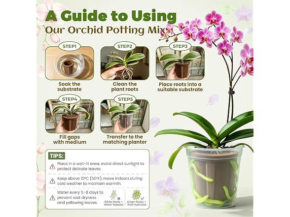 Herrdemia Orchid Repotting Kit