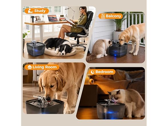 Pet Water Fountain for Large Dogs & Cats