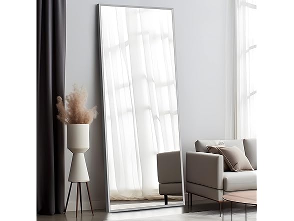 NeuType 59"x20" Full Length Silver Mirror