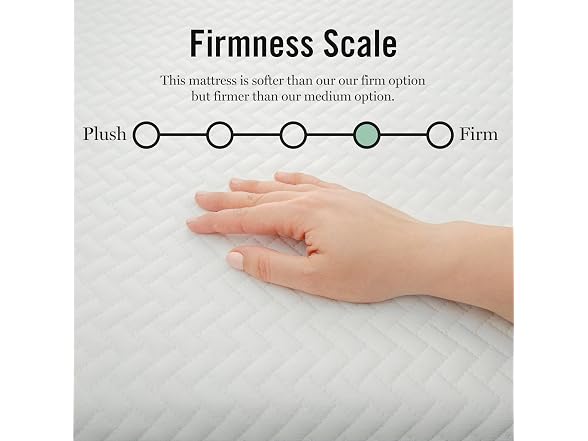 Martha Stewart 12" Queen Foam Mattress