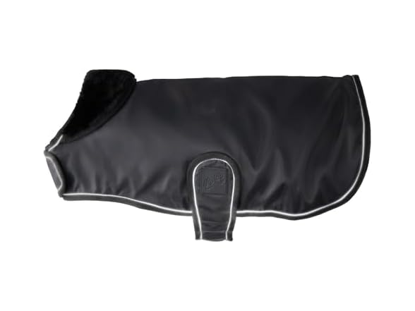 Pet Passion Breeze II Dog Raincoat, Black, Small