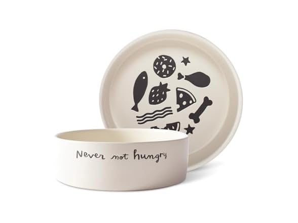 Fringe Studio Never NOT Hungry Wax Resist Ceramic Pet Bowl