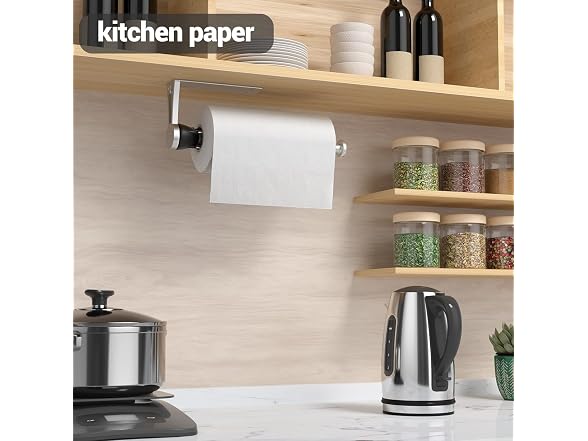 LOISVI Paper Towel Holder (Silver)