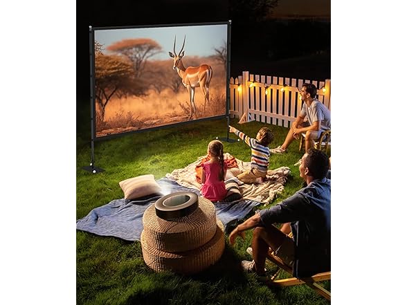 Projector Screen with Stand | 100in