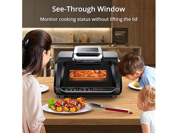 Electric Grill with See-Through Window