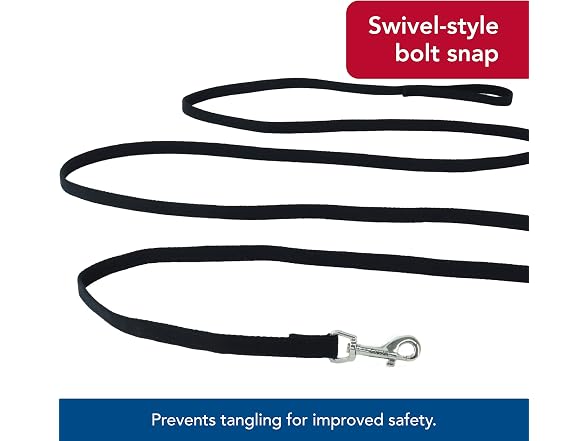 Coastal Pet Train Right Cotton Web Dog Traini
