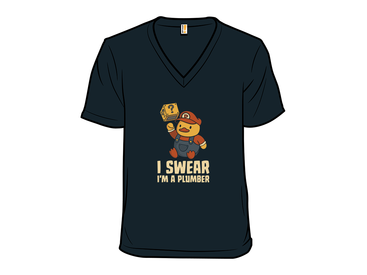 I Swear I'm a Plumber - Gallery 10