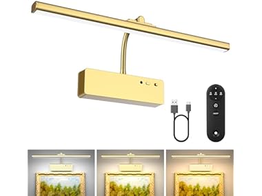 $16.99, Was $34.46, 50% Off! Lightbiz Picture Light for Wall dealfomo