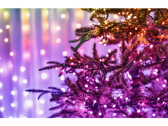 Twinkly 600 Strings and Music Dongle Bundle