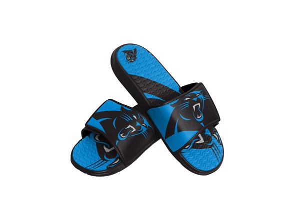 Colorblock Big Logo Carolina Panthers