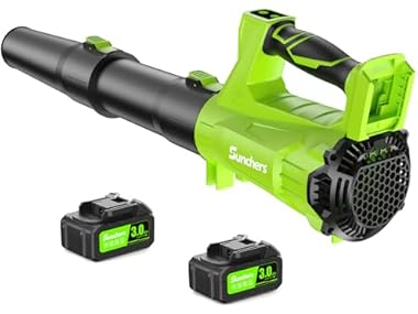 $44.99, Was $104.98, 57% Off! 3.0Ah Electric Leaf Blower with 2 Battery dealfomo