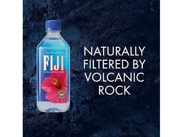 FIJI Artesian Bottled Water 16.9 oz Pack of 24