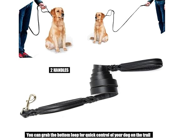Dog Leashes for Medium Dog Leaher Dogs Leash