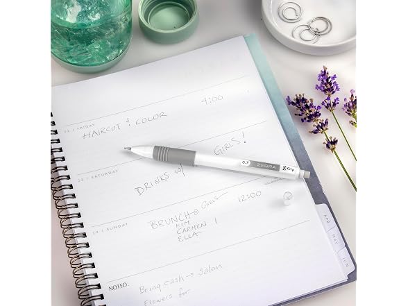 Zebra Pen Z-Grip Writing Set