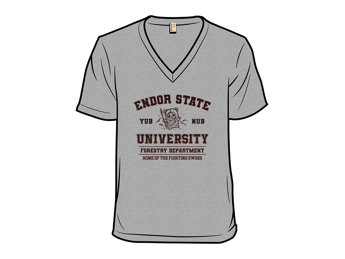 Endor University - Gallery 10