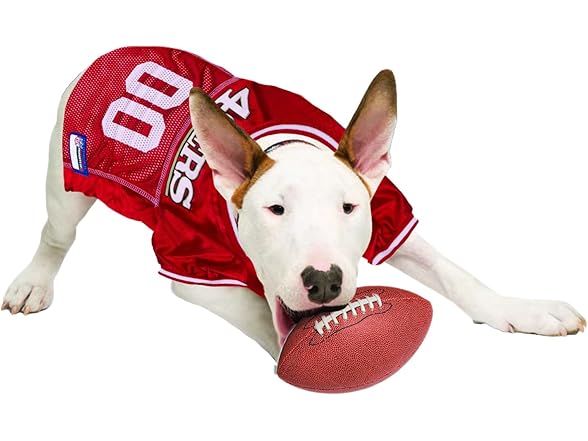 NFL Dog Jersey