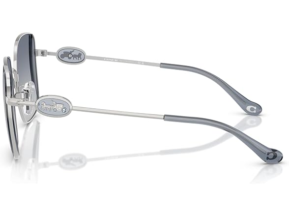 COACH Women's Sunglasses HC 7177 B