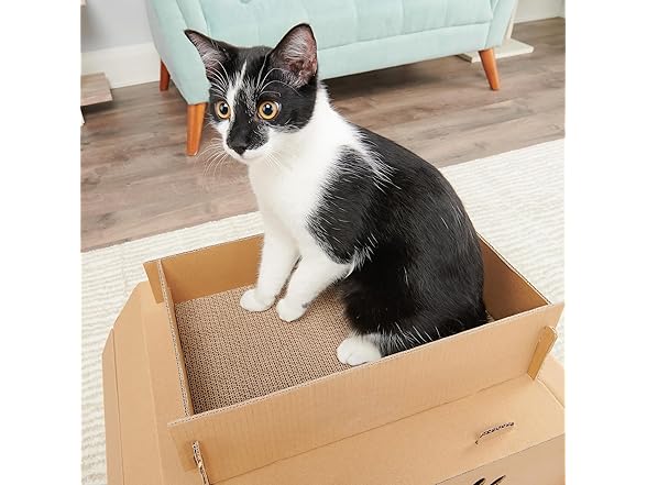 Carlson Pet Products Cat Camper
