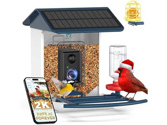 Bird Feeder with Camera