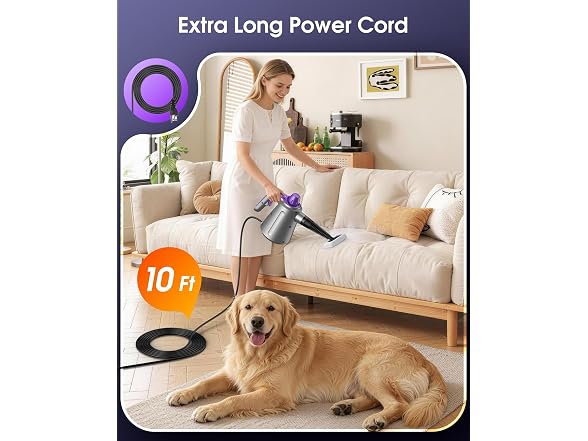 Handheld Steam Cleaner for Home, Pressurized Steam