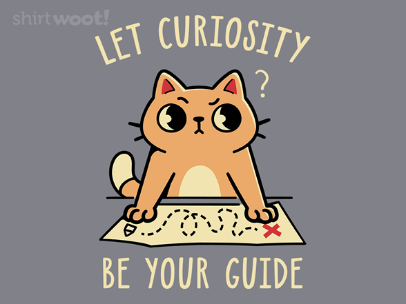Guided by Curiosity Remix