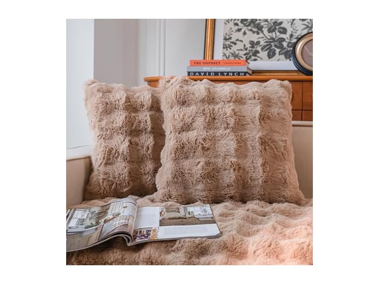 Cozy Faux Fur Throw Pillow Covers 2 Pack