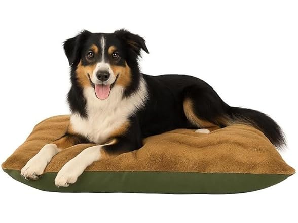 Furhaven Large Plush & Twill High-Loft Pillow Pet Bed, Fir