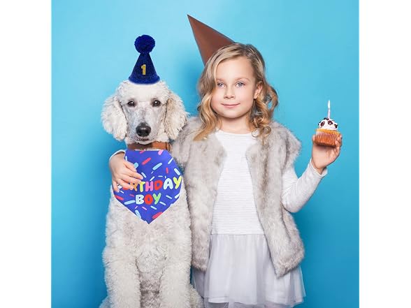 Dog Birthday Bandana Scarf, Boy Dogs Birthda