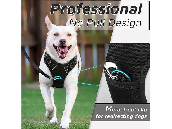 Pet Vest Harness with 2 Leash Clips, Adjusta