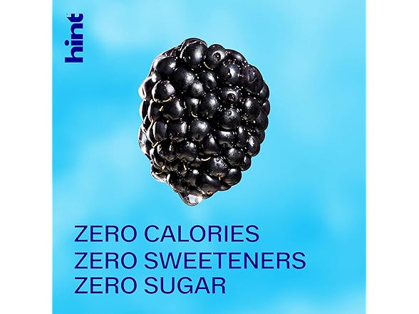 12PK Hint Fruit-Infused Bottled Water, Blackberry