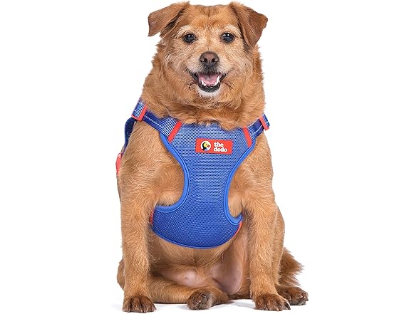 The Dodo Blue Dog Harness - Extra Small