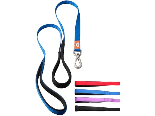 Canny Leash - Anti-Pull Dog Leash for Head Blue