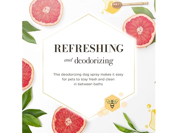 Burt's Bees Dogs Refresh Natural Deodorizer (6 PACK)