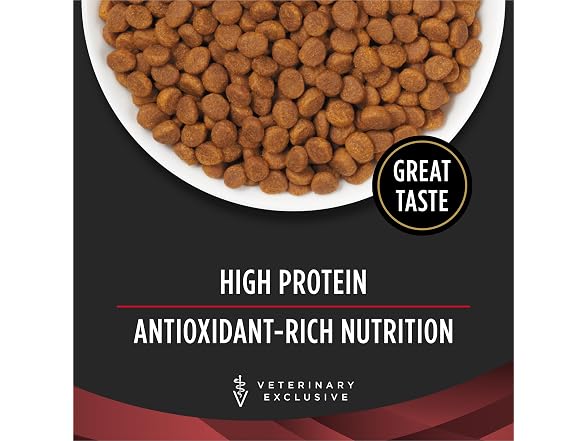 Pro Plan Veterinary Diets Purina DM Diet Cat- 6lb. Bag