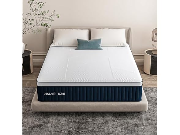 DIGLANT 14" Med Plush Hybrid Queen