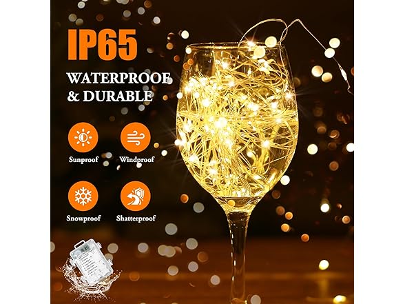 Lakumu B0FBRD4H71 Warm White String Lights