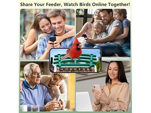 Niuberber Smart Bird Feeder with Camera